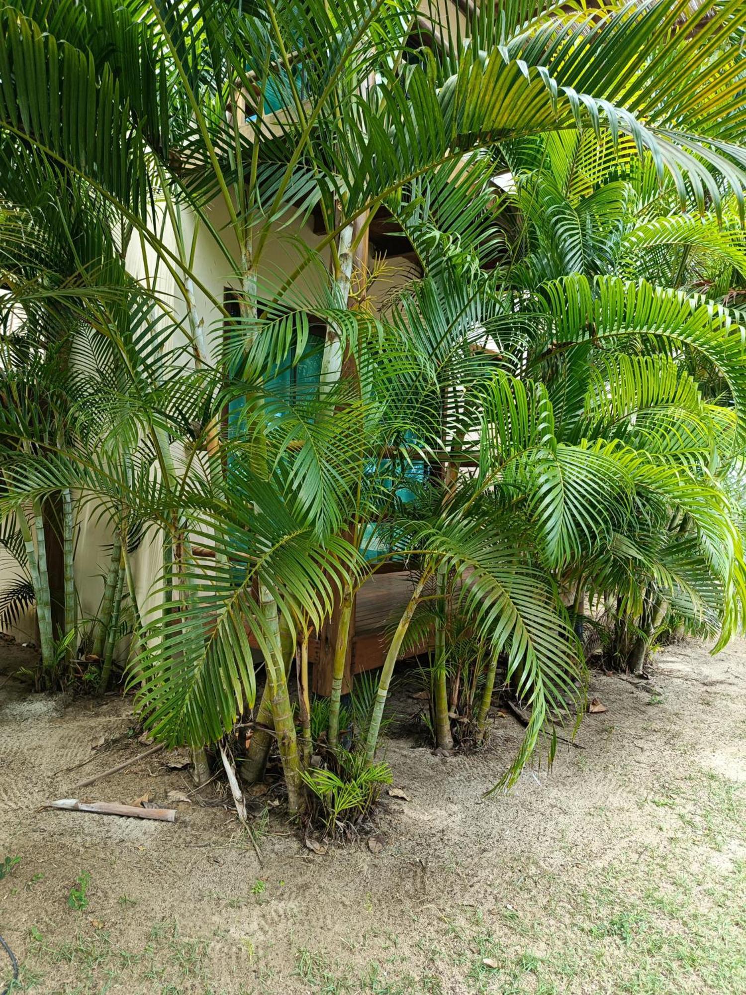 Pousada Maré Cumuruxatiba Esterno foto